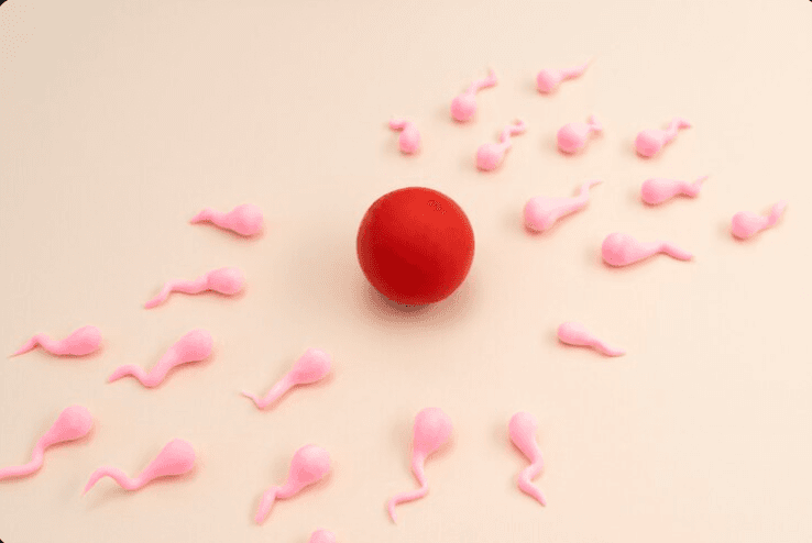 Donor Sperm Insemination in Delray Beach: What First-Time Patients Should Know