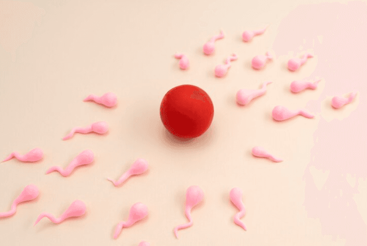 IUI vs IVF with Donor Sperm: Which Option Works Best for Your Situation?